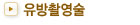 유방촬영술