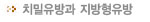 치밀유방과 지방형유방