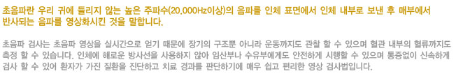 유방초음파란